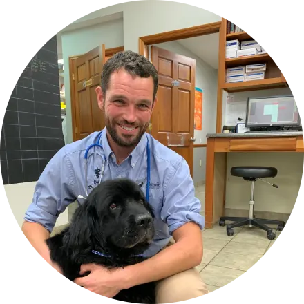 Dr. John Cooley at Waterville Veterinary Clinic